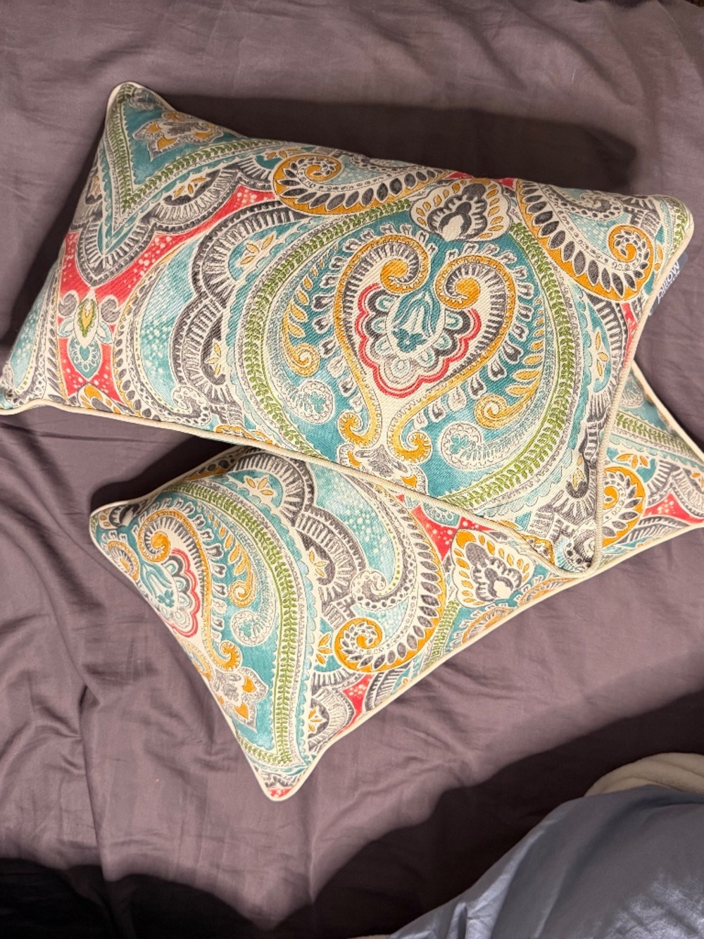 Decorative pillows 2 pack